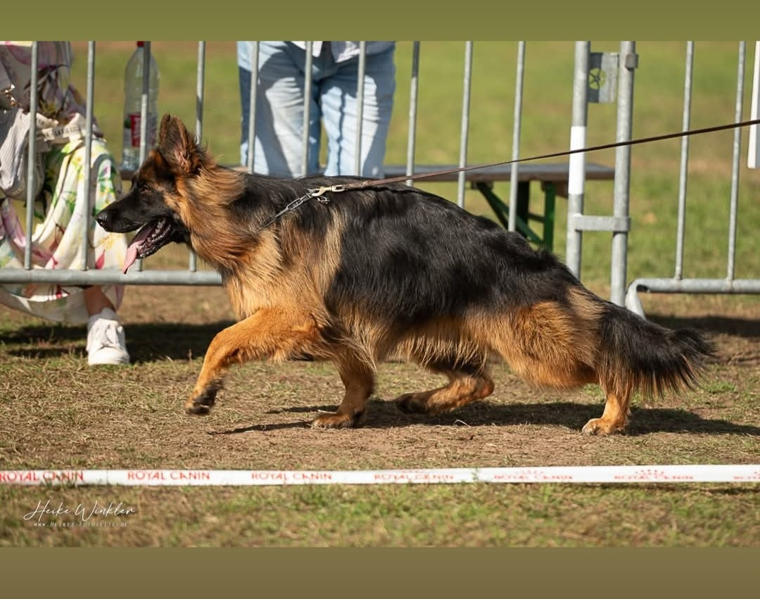 Valienta Casa De Nall